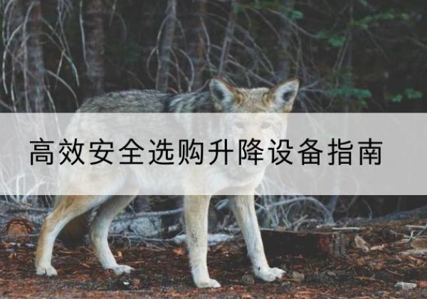 无锡升降货梯厂家推荐-*安全选购升降设备指南