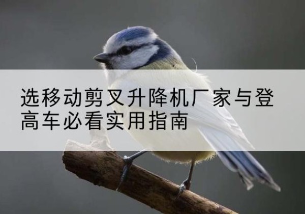 无锡电动升降机厂家-选移动剪叉升降机厂家与登高车必看实用指南