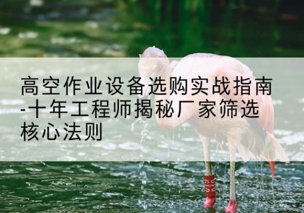 无锡剪叉式升降机厂家-高空作业设备选购实战指南-十年工程师揭秘厂家筛选核心法则